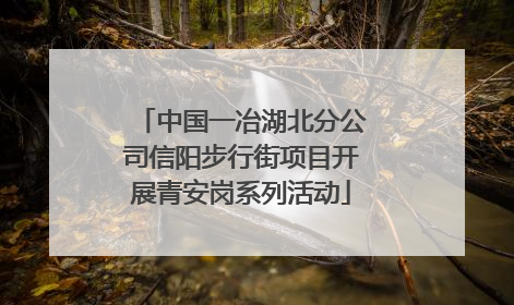 中国一冶湖北分公司信阳步行街项目开展青安岗系列活动