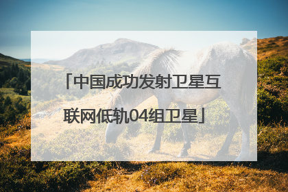中国成功发射卫星互联网低轨04组卫星