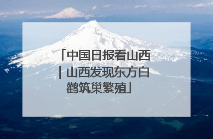 中国日报看山西｜山西发现东方白鹳筑巢繁殖