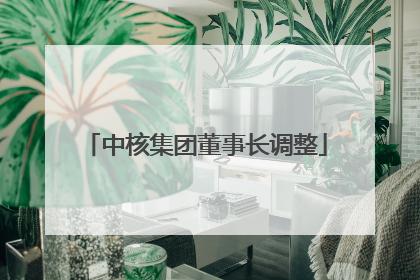 中核集团董事长调整