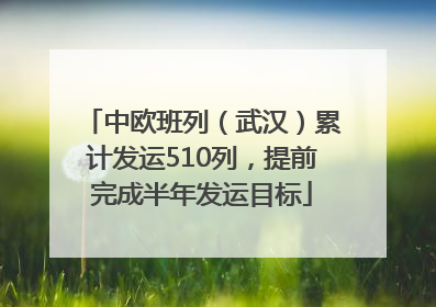 中欧班列（武汉）累计发运510列，提前完成半年发运目标