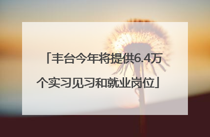 丰台今年将提供6.4万个实习见习和就业岗位