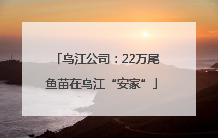 乌江公司：22万尾鱼苗在乌江“安家”