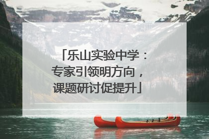 乐山实验中学：专家引领明方向，课题研讨促提升