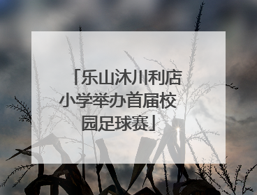 乐山沐川利店小学举办首届校园足球赛
