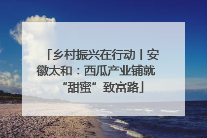 乡村振兴在行动丨安徽太和：西瓜产业铺就“甜蜜”致富路