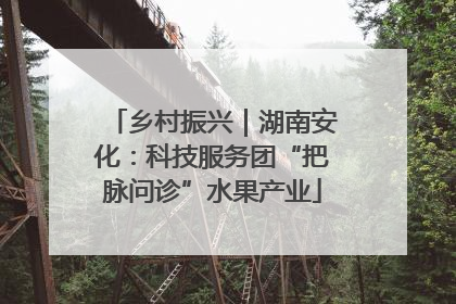 乡村振兴｜湖南安化：科技服务团“把脉问诊”水果产业