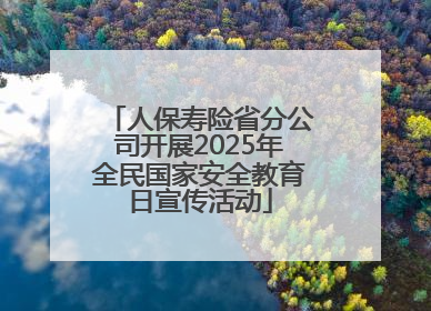 人保寿险省分公司开展2025年全民国家安全教育日宣传活动