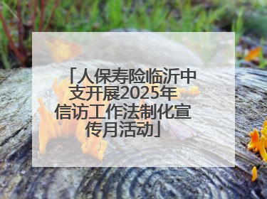 人保寿险临沂中支开展2025年信访工作法制化宣传月活动