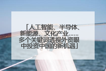 人工智能、半导体、新能源、文化产业……多个关键词透视外资眼中投资中国的新机遇