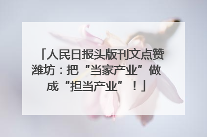 人民日报头版刊文点赞潍坊：把“当家产业”做成“担当产业”！