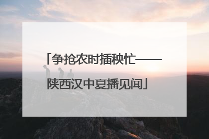争抢农时插秧忙——陕西汉中夏播见闻