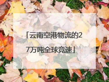 云南空港物流的27万吨全球竞速
