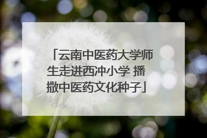 云南中医药大学师生走进西冲小学 播撒中医药文化种子
