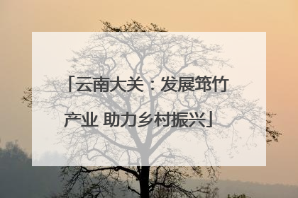 云南大关：发展筇竹产业 助力乡村振兴
