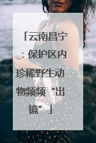 云南昌宁：保护区内珍稀野生动物频频“出镜”