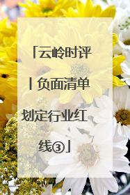 云岭时评丨负面清单划定行业红线③
