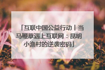 互联中国公益行动丨当马鞭草遇上互联网：昆明小渔村的逆袭密码