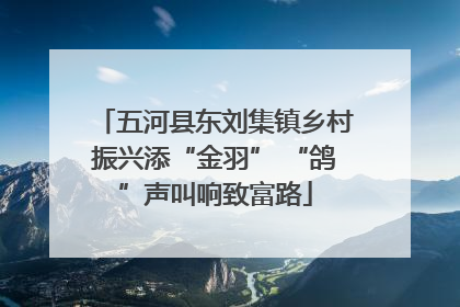 五河县东刘集镇乡村振兴添“金羽” “鸽”声叫响致富路