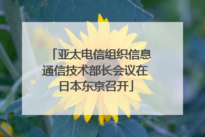 亚太电信组织信息通信技术部长会议在日本东京召开