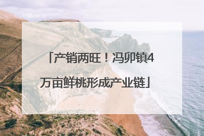 产销两旺！冯卯镇4万亩鲜桃形成产业链