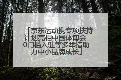 京东运动携专项扶持计划亮相中国体博会 0门槛入驻等多举措助力中小品牌成长