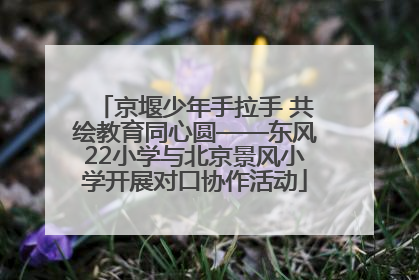 京堰少年手拉手 共绘教育同心圆——东风22小学与北京景风小学开展对口协作活动