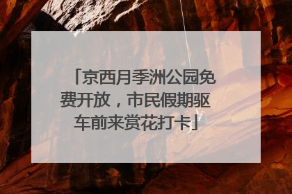 京西月季洲公园免费开放，市民假期驱车前来赏花打卡