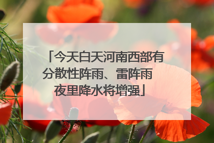 今天白天河南西部有分散性阵雨、雷阵雨 夜里降水将增强