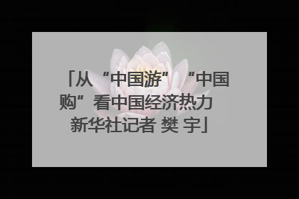 从“中国游”“中国购”看中国经济热力 新华社记者 樊 宇