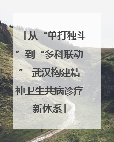 从“单打独斗”到“多科联动” 武汉构建精神卫生共病诊疗新体系
