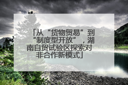 从“货物贸易”到“制度型开放”，湖南自贸试验区探索对非合作新模式