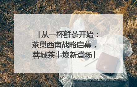 从一杯鲜茶开始：茶巢西南战略启幕，蓉城茶事焕新登场
