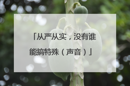 从严从实，没有谁能搞特殊（声音）