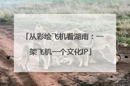 从彩绘飞机看湖南：一架飞机一个文化IP
