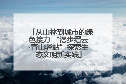 从山林到城市的绿色接力 “漫步缙云·青山驿站”探索生态文明新实践