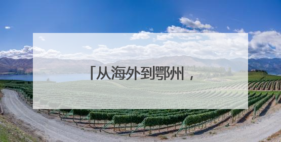 从海外到鄂州，他让“卡脖子”变“杀手锏”