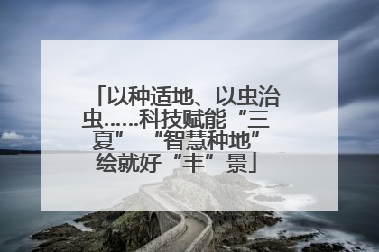 以种适地、以虫治虫……科技赋能“三夏” “智慧种地”绘就好“丰”景
