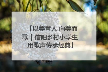 以美育人 向美而歌｜信阳乡村小学生用歌声传承经典