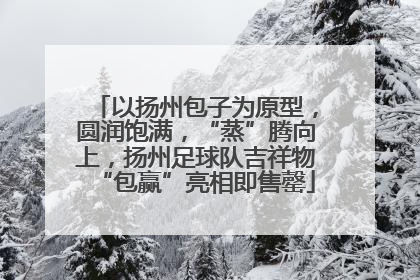 以扬州包子为原型，圆润饱满，“蒸”腾向上，扬州足球队吉祥物“包赢”亮相即售罄