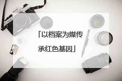 以档案为媒传承红色基因