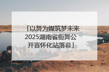 以舞为媒筑梦未来 2025湖南省街舞公开赛怀化站落幕