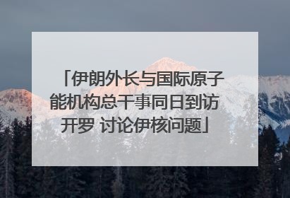 伊朗外长与国际原子能机构总干事同日到访开罗 讨论伊核问题