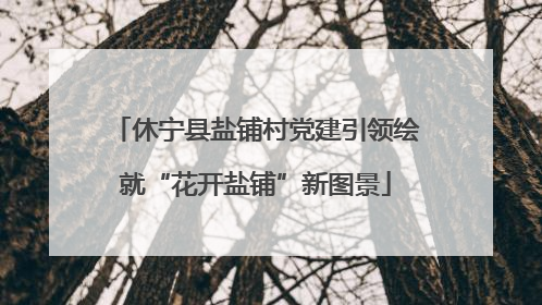 休宁县盐铺村党建引领绘就“花开盐铺”新图景