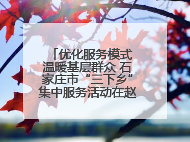 优化服务模式 温暖基层群众 石家庄市“三下乡”集中服务活动在赵县举行
