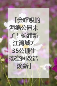 会呼吸的海绵公园来了！杨浦新江湾城7.35公顷生态空间改造焕新