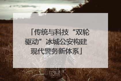 传统与科技“双轮驱动”冰城公安构建现代警务新体系