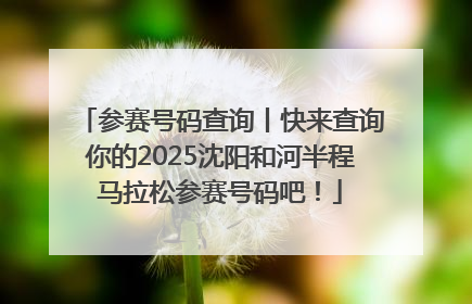 参赛号码查询丨快来查询你的2025沈阳和河半程马拉松参赛号码吧！