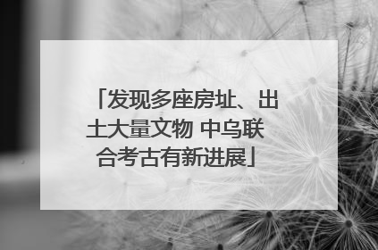 发现多座房址、出土大量文物 中乌联合考古有新进展
