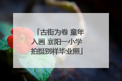 古街为卷 童年入画 襄阳一小学拍摄别样毕业照